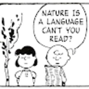 Meet your Posher, Ted